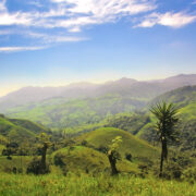 Depositphotos_4756605_S